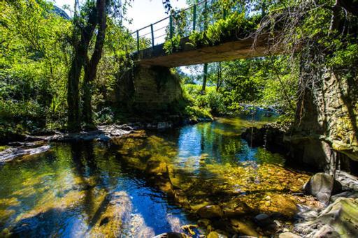 Hotel Rural Casa Cueto Infiesto Dış mekan fotoğraf