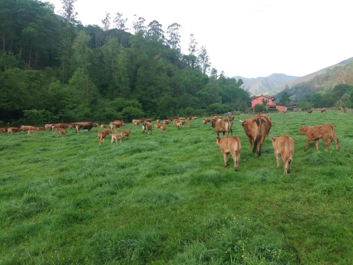 Hotel Rural Casa Cueto Infiesto Dış mekan fotoğraf